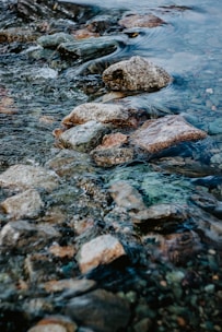 brown and gray rock on water