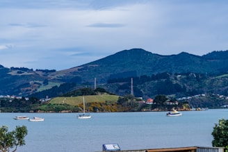 white boat on sea near mountain during daytime