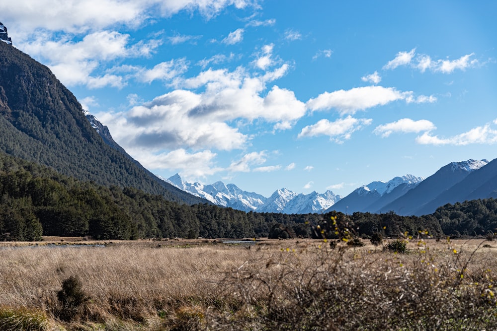 green trees and mountains under white clouds and blue sky during daytime