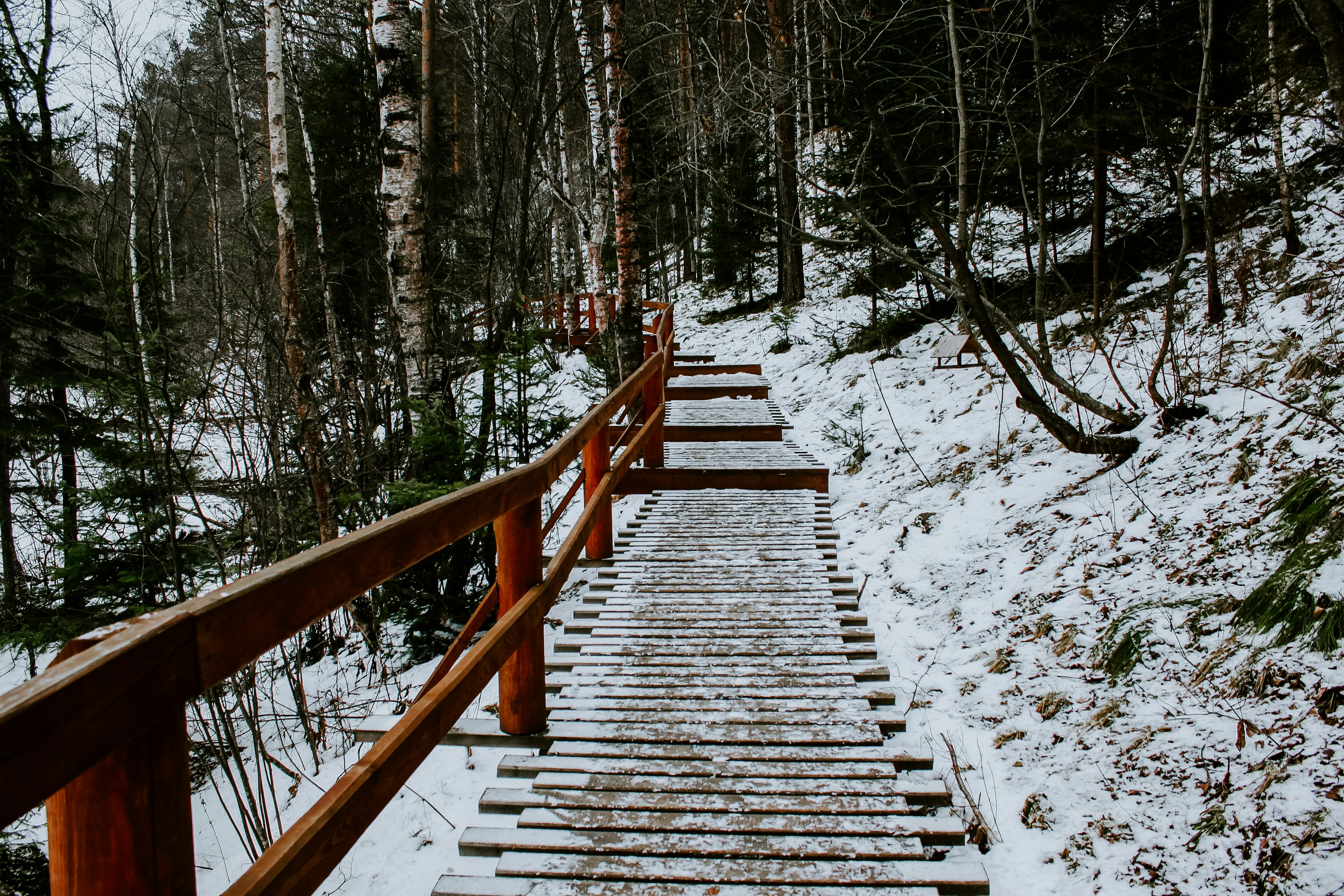 brown wooden bridge covered with snow