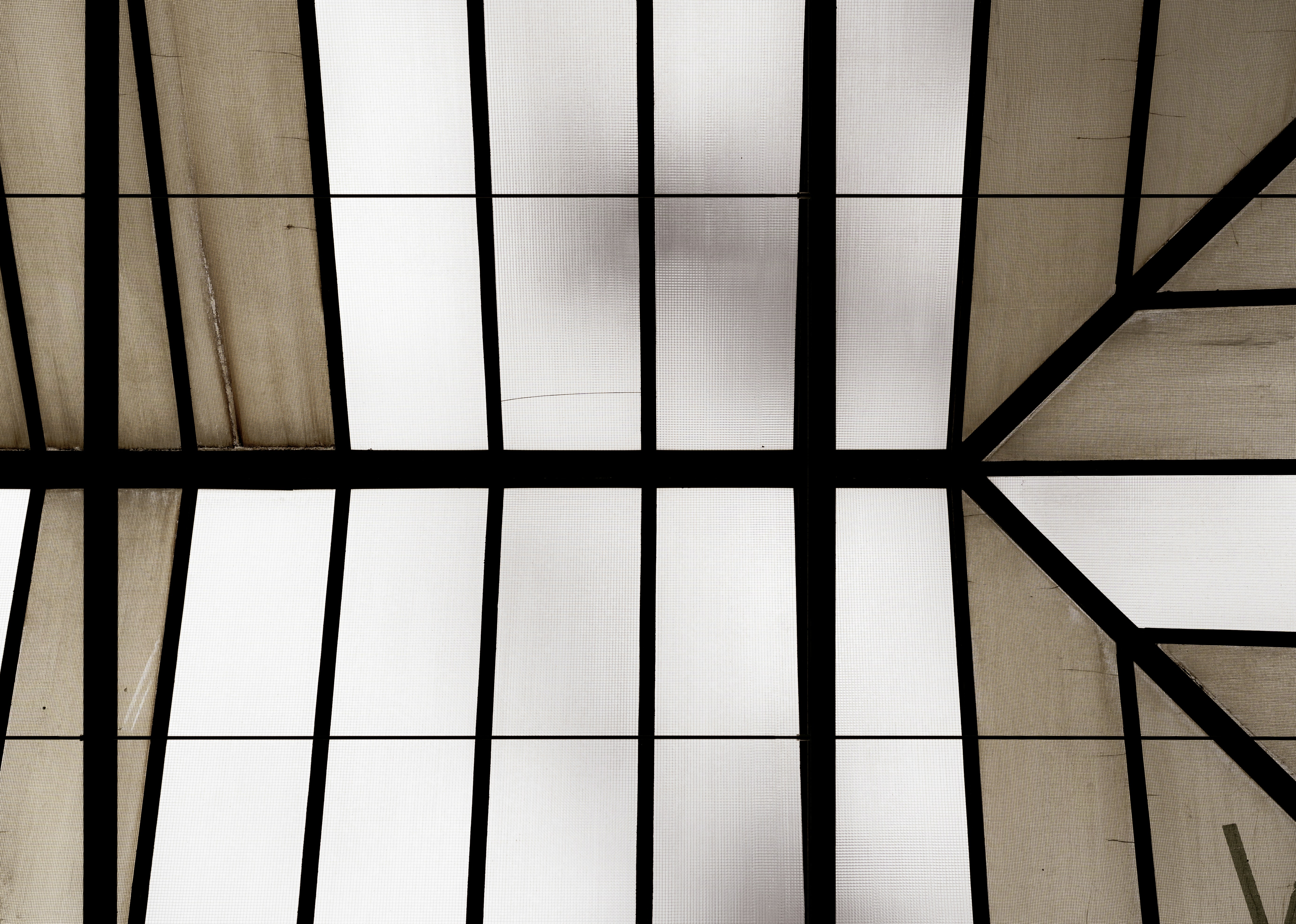 Photo by fabianbaechli