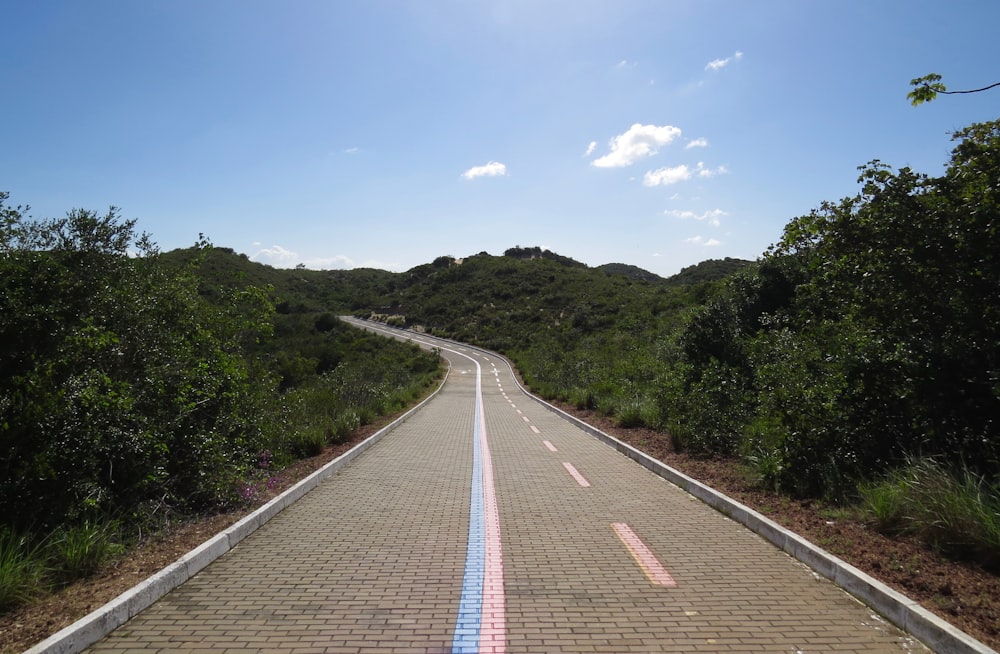 gray concrete road between green trees under blue sky during daytime