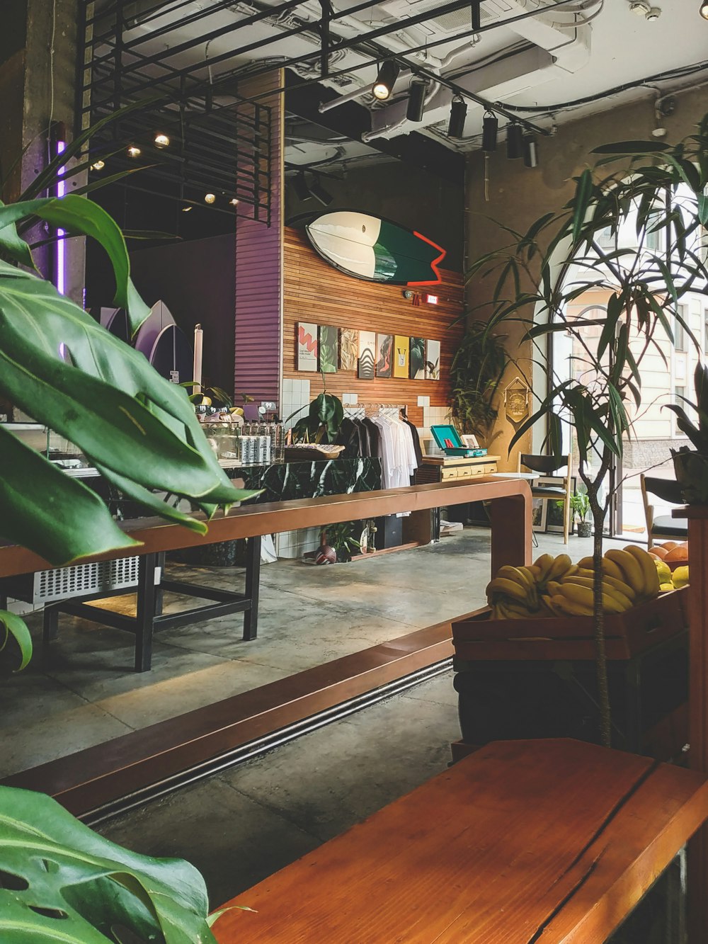 green potted plant on brown wooden table