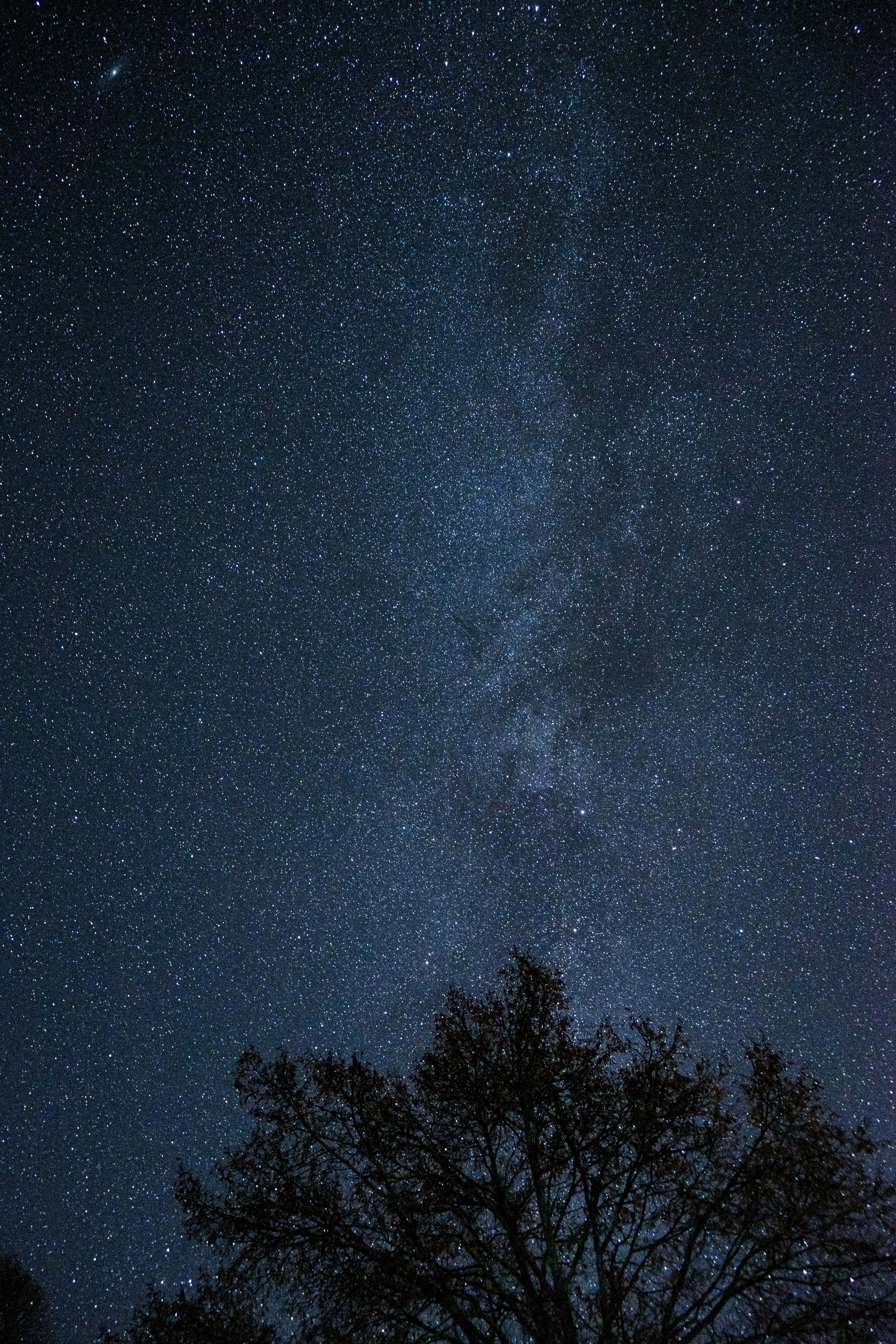 Photo by benaja_photos