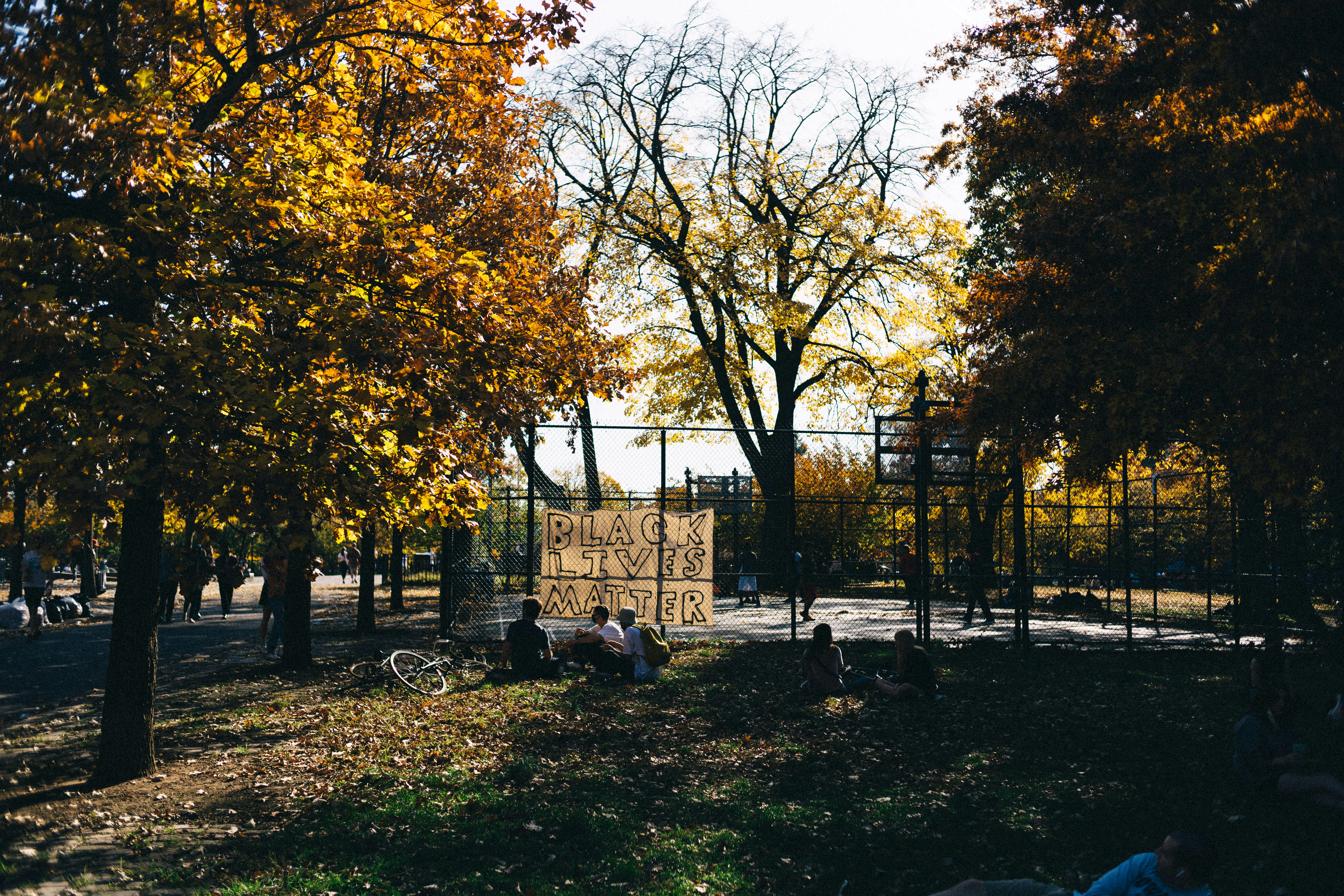people sitting on bench under trees during daytime