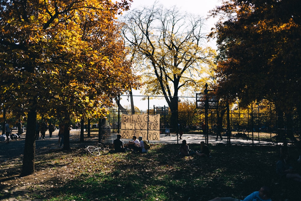 people sitting on bench under trees during daytime