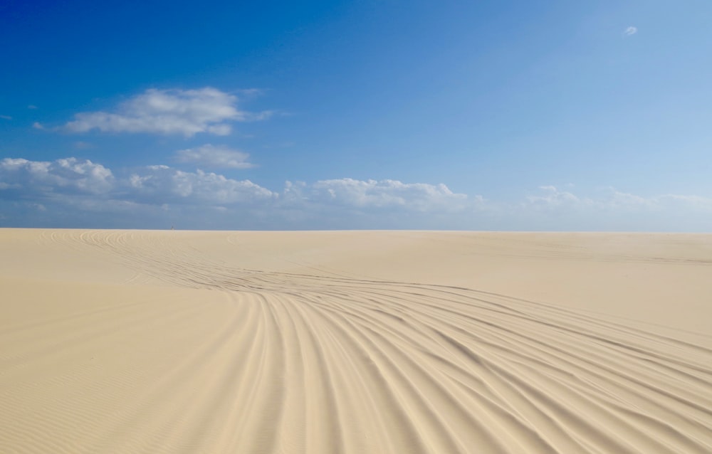 昼間の青空に茶色い砂浜
