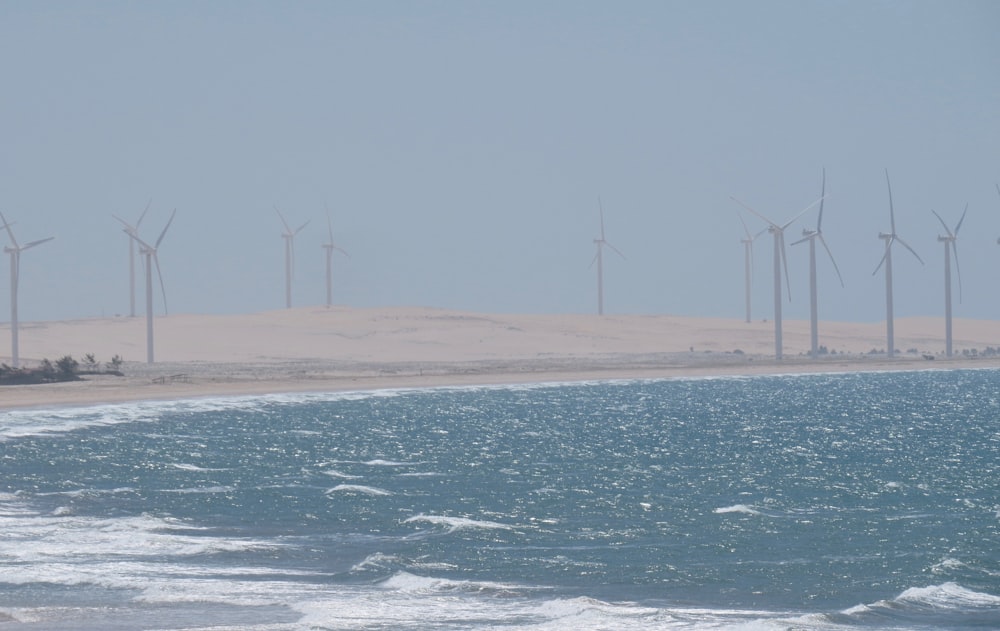 white sand near body of water during daytime