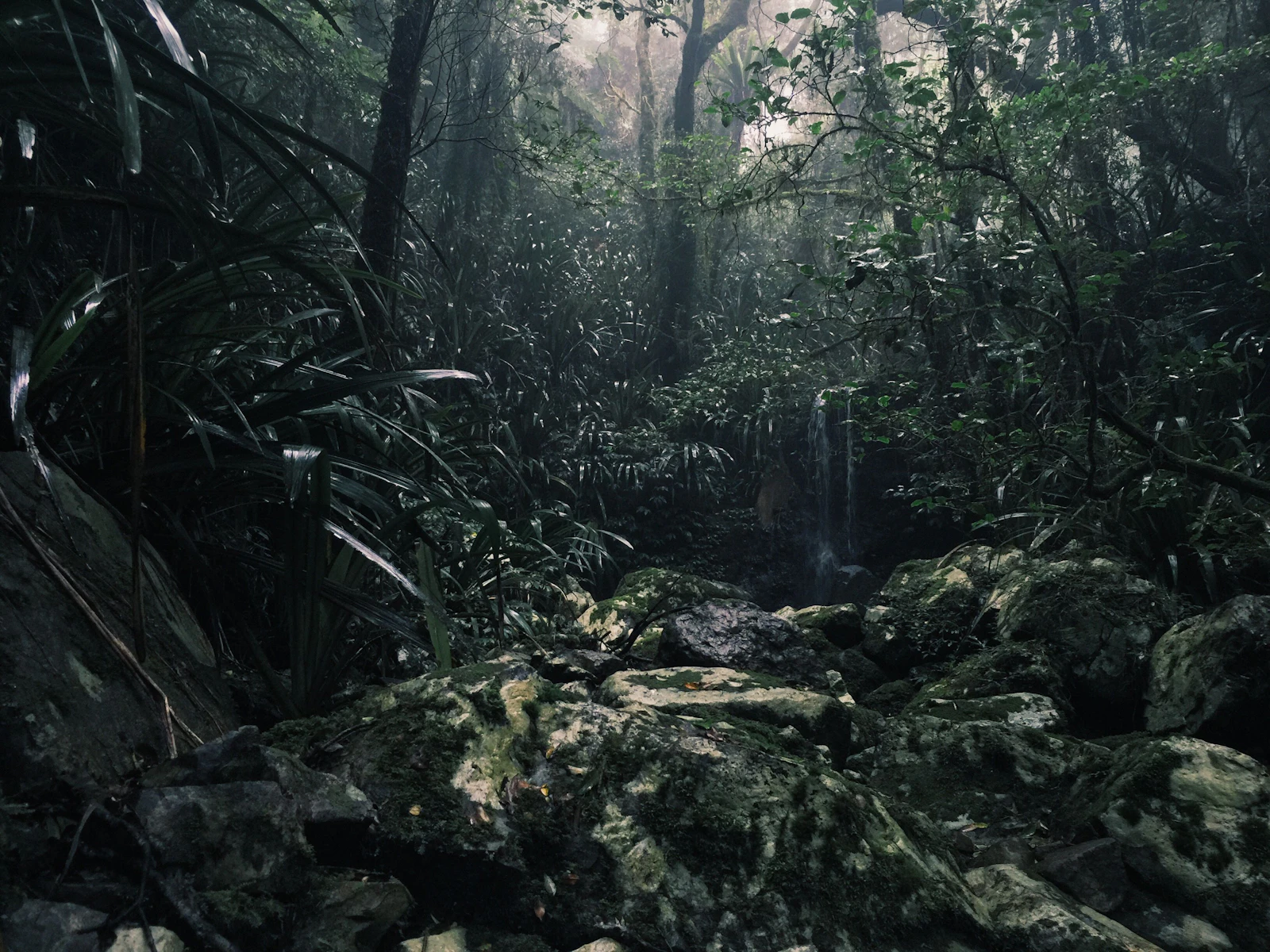 Lluvia en la Naturaleza 3