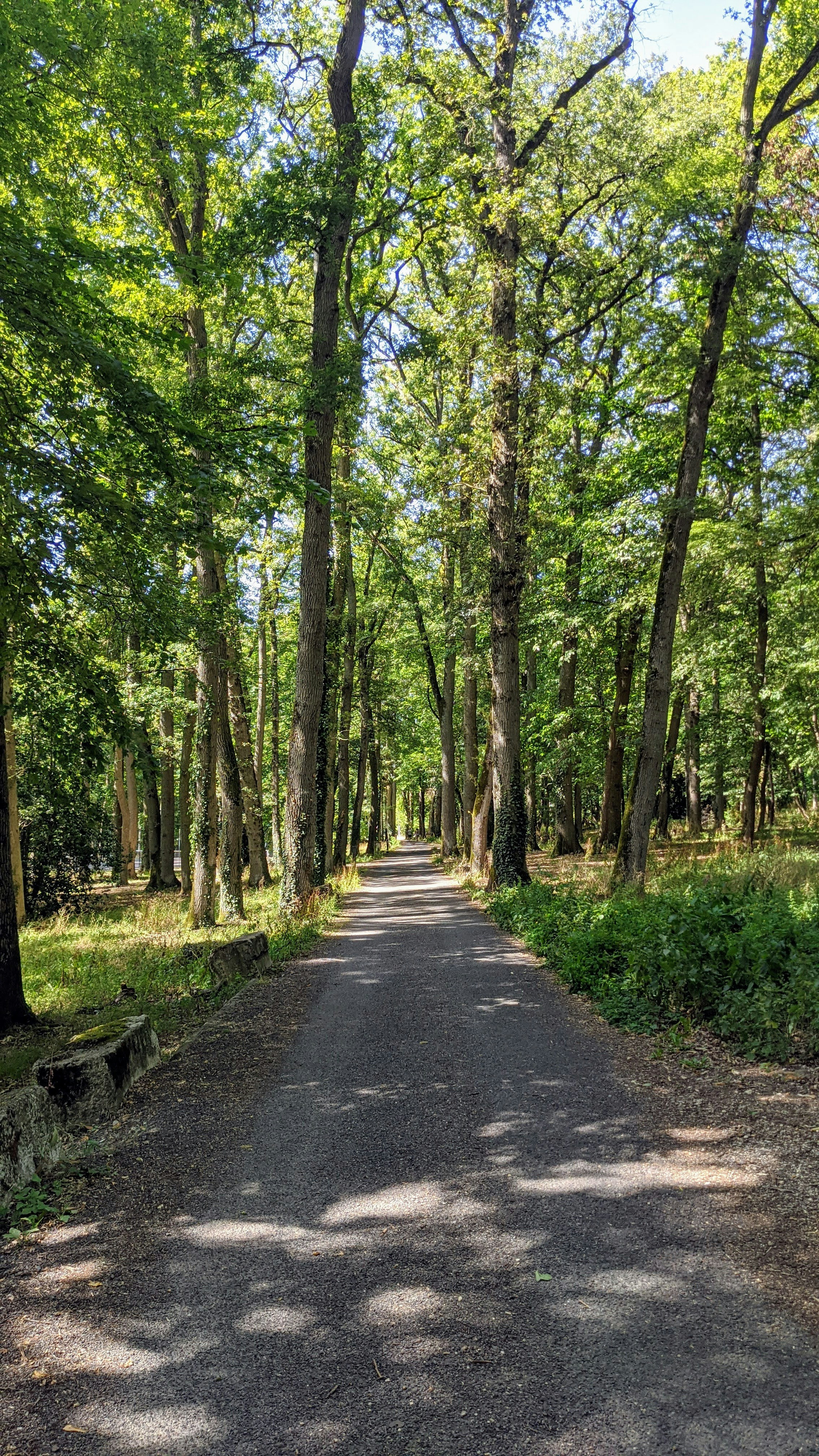 Photo by 20_bertrandaxel