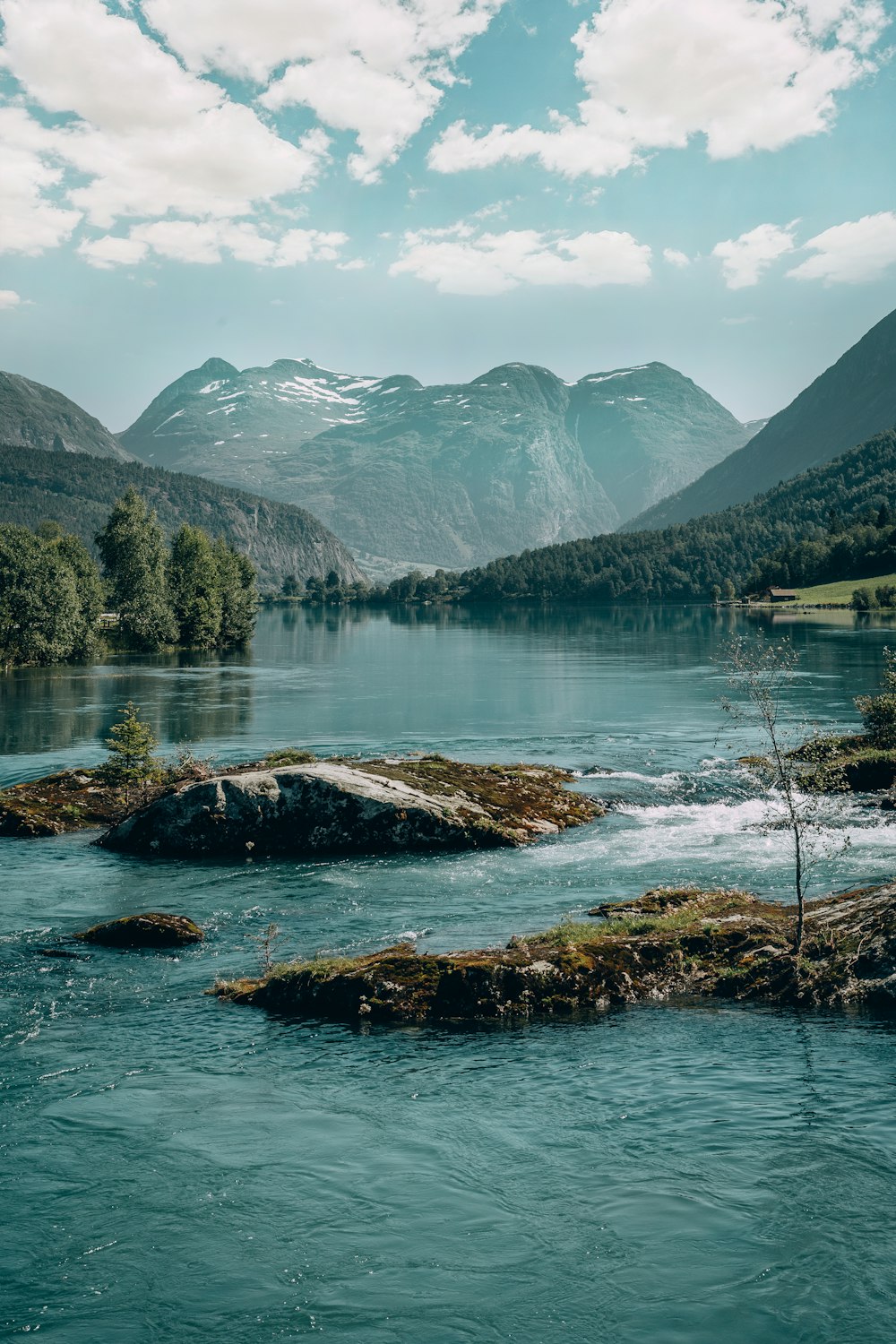 green trees near lake and mountains during daytime