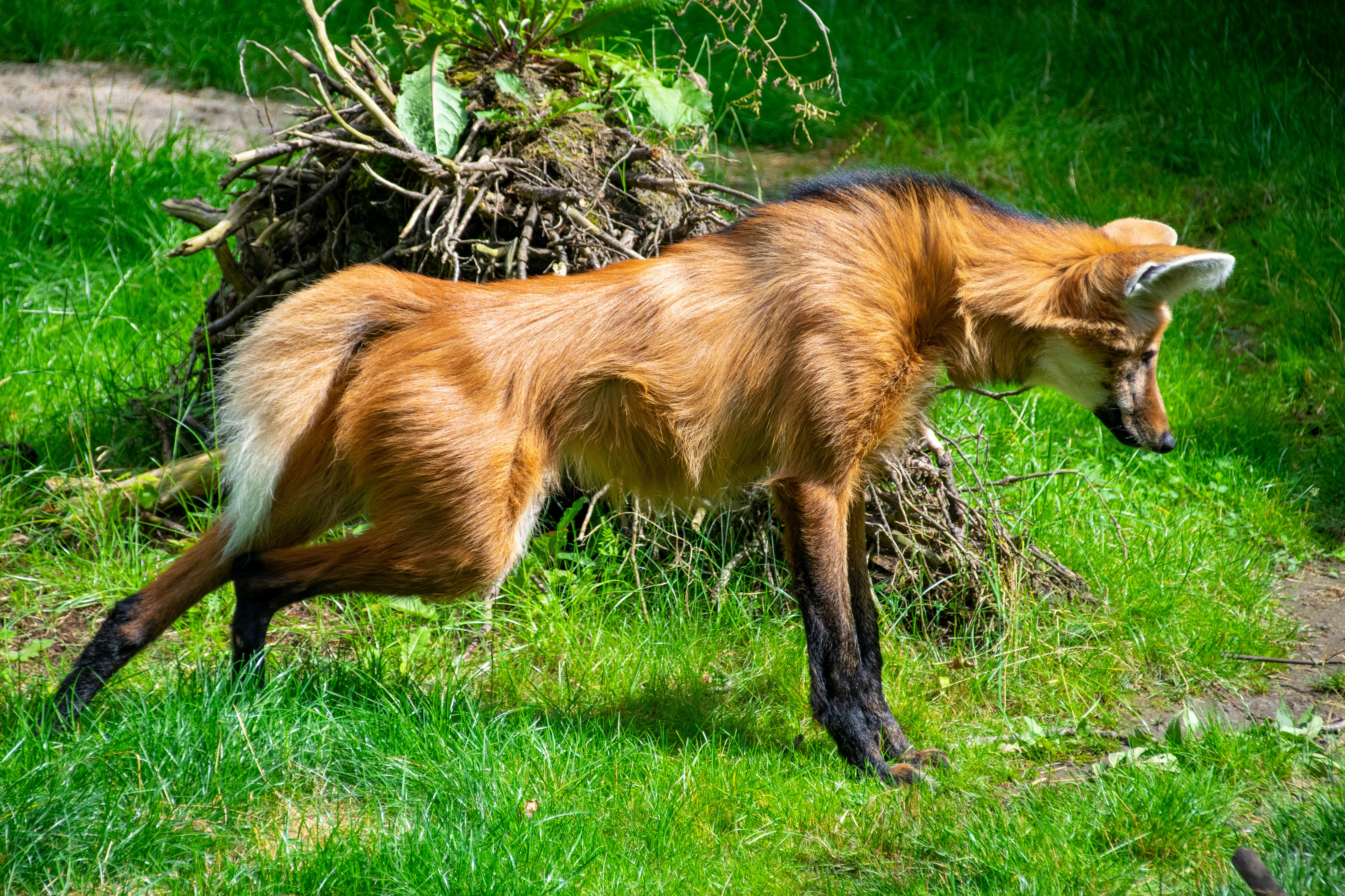 Photo by shinychunks