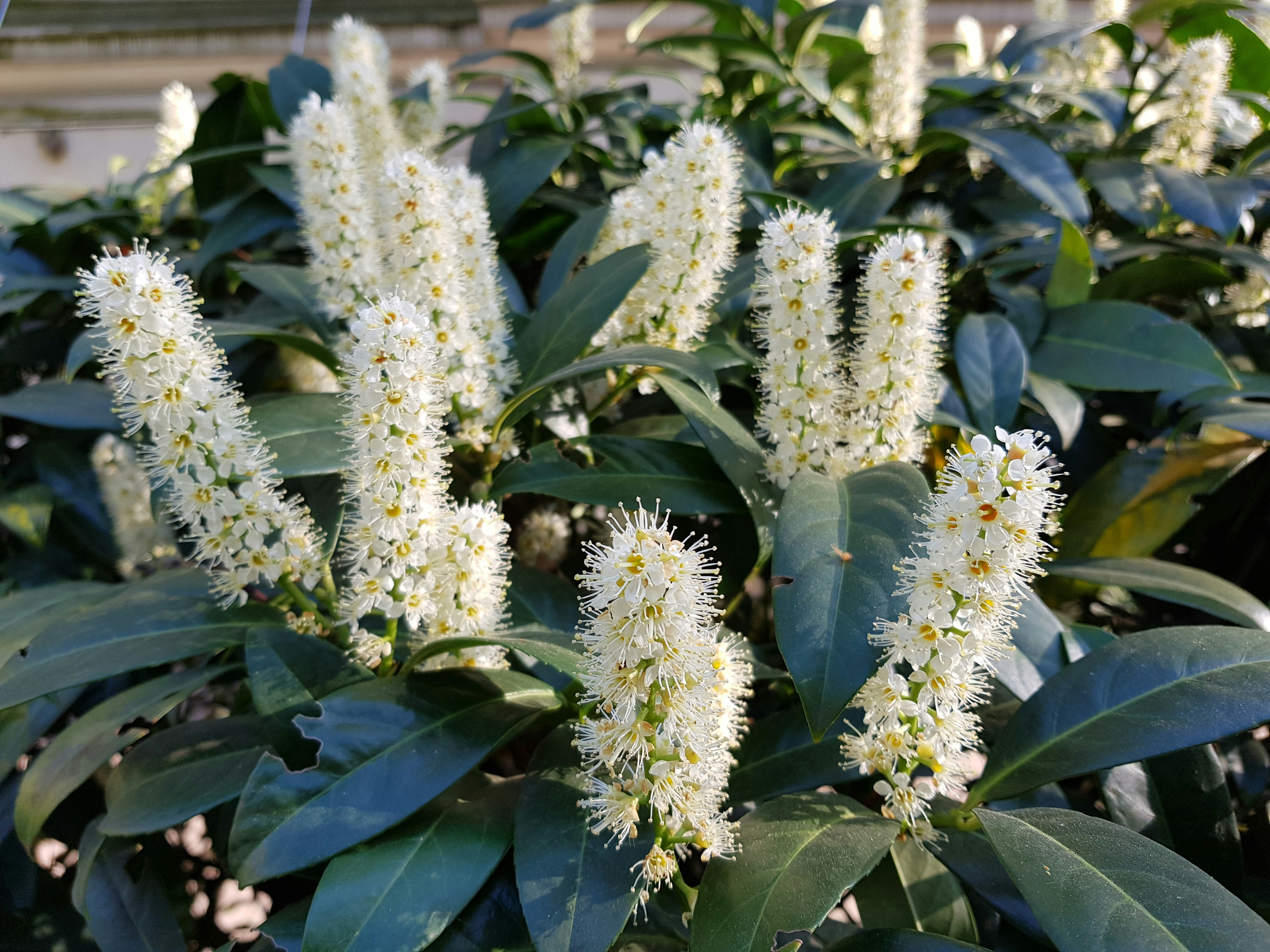 Photo by zhenyastuff