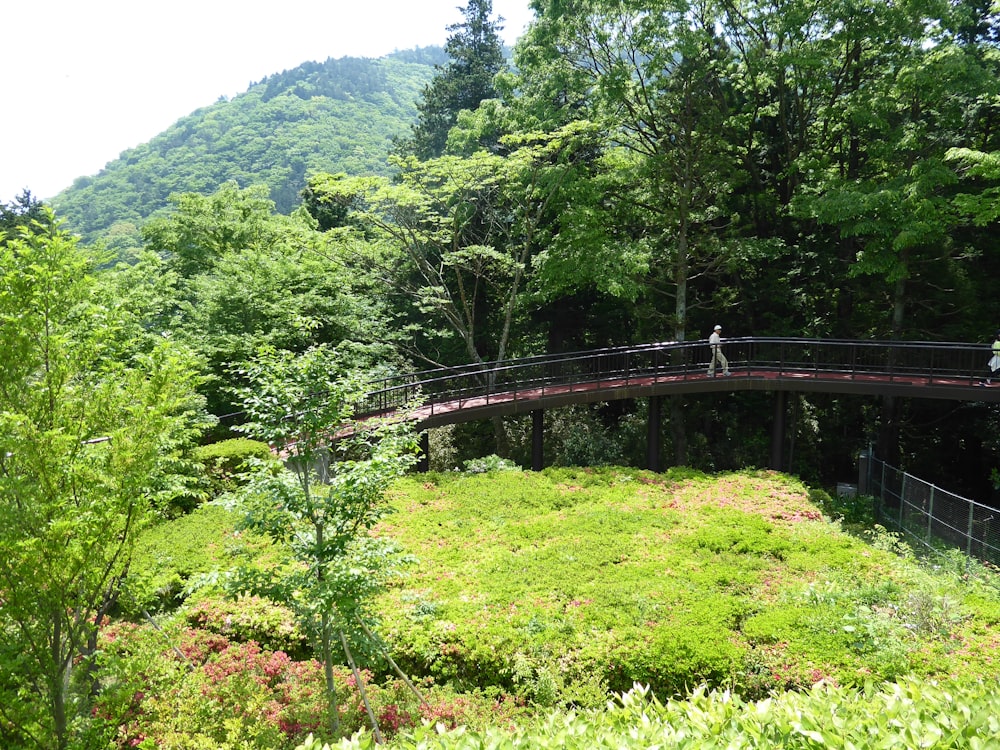 brown wooden bridge over green mountain during daytime