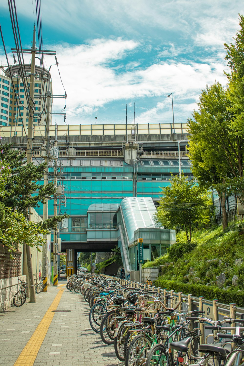 green trees near white concrete building during daytime