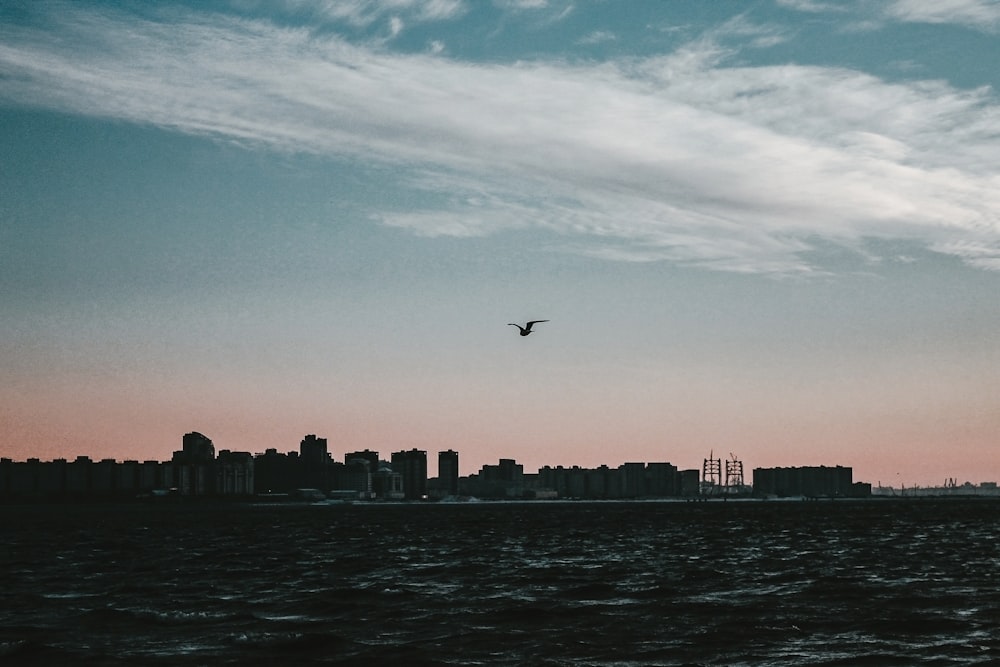 Vogel, der tagsüber über die Skyline der Stadt fliegt