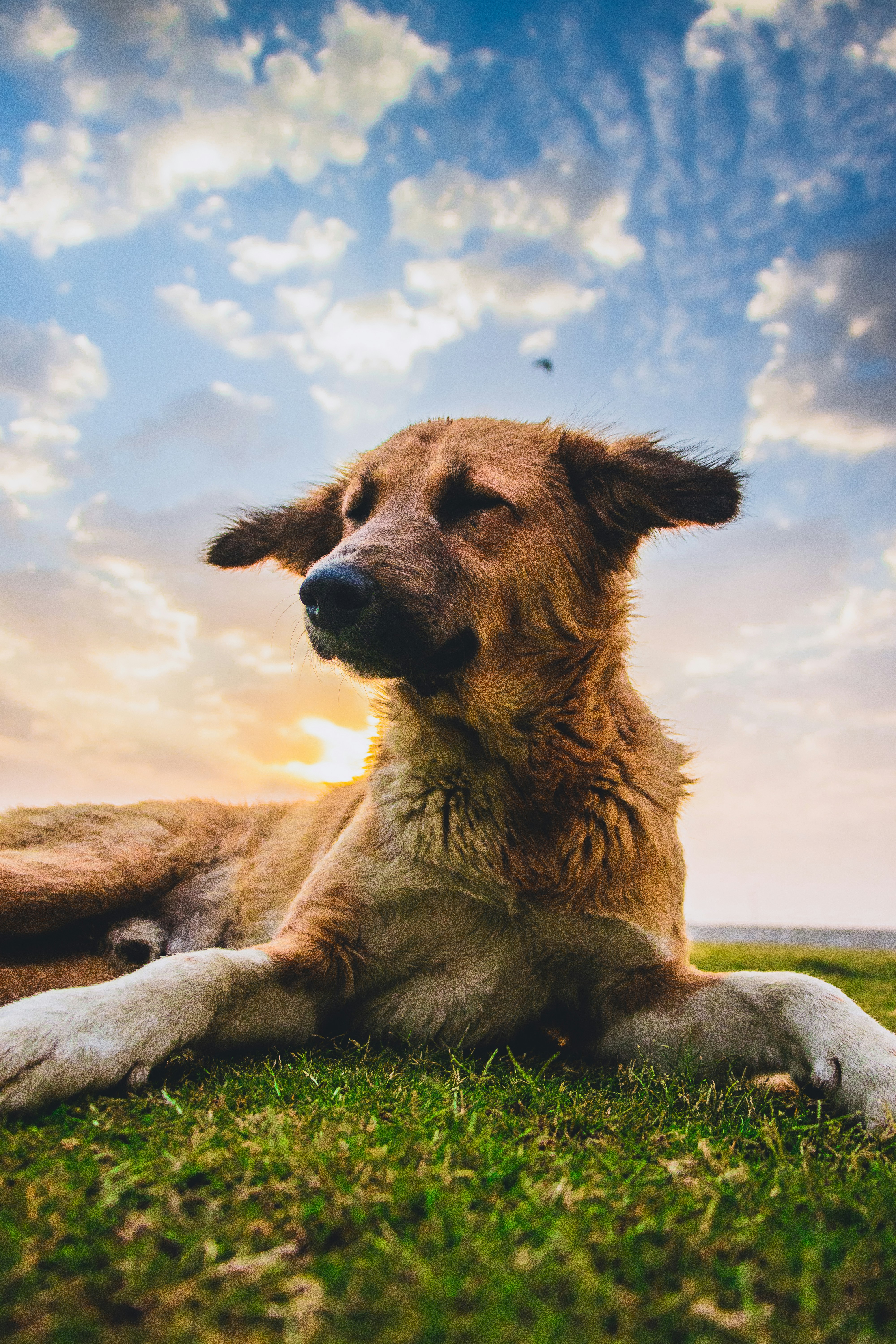 Photo by cpt_grumpysailor