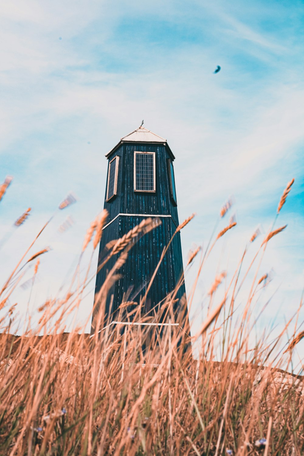 black and white wooden house on brown grass field under blue sky during daytime