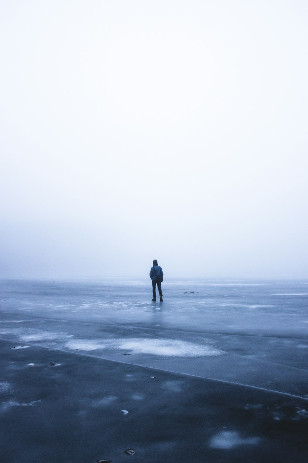 man in black jacket standing on beach during daytime