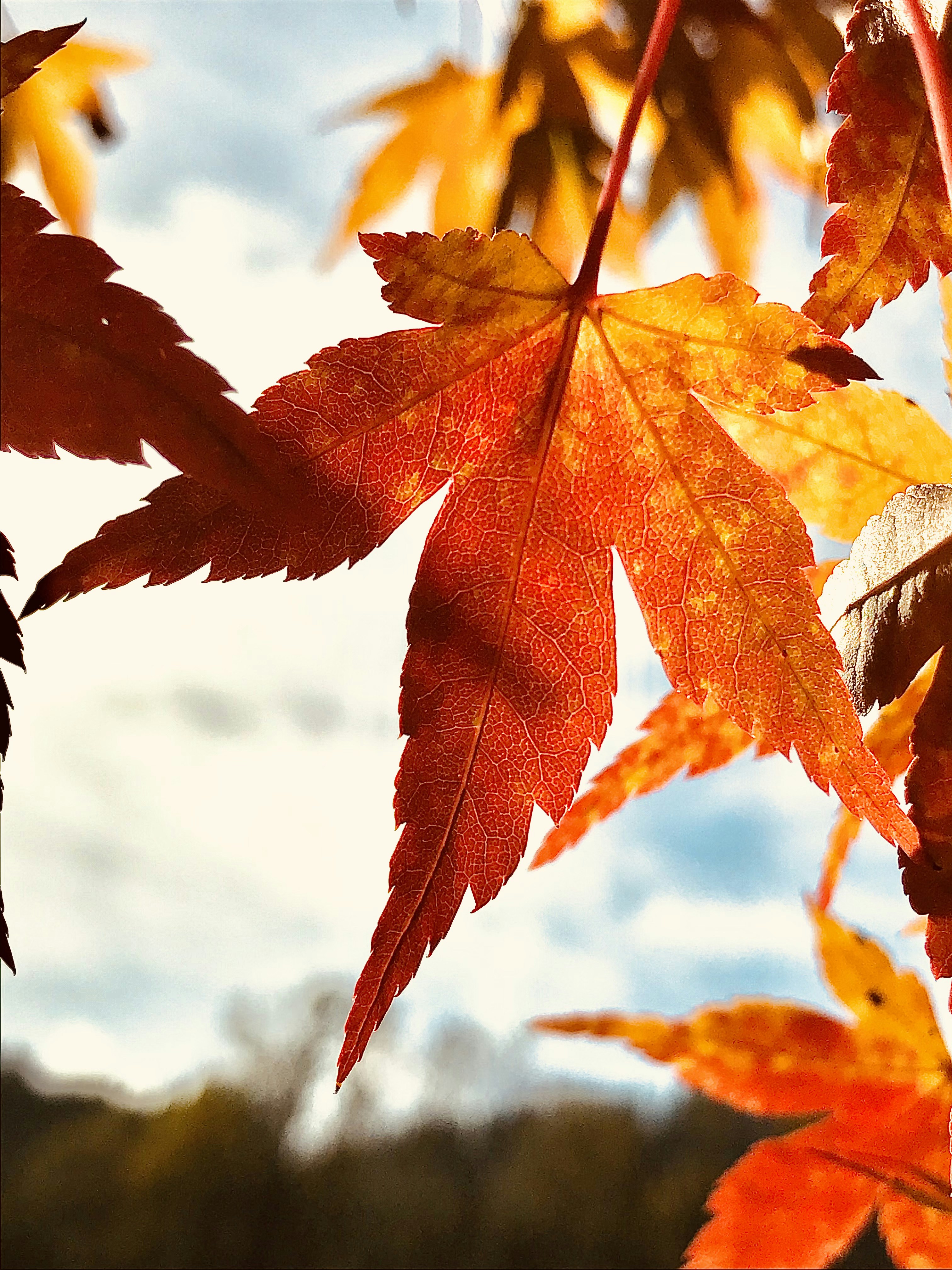 Photo by tirzah_walter