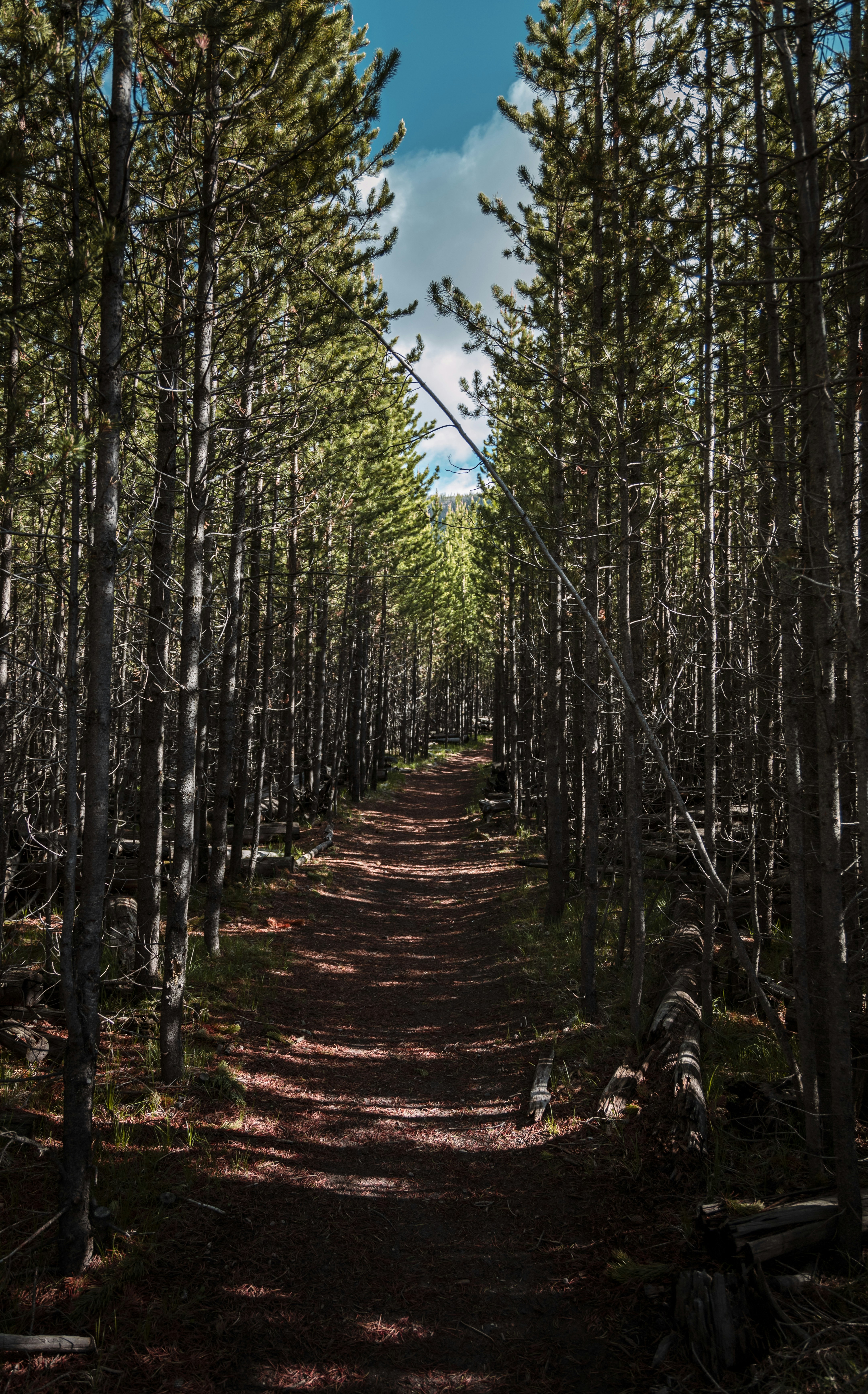 Photo by loganmayerr