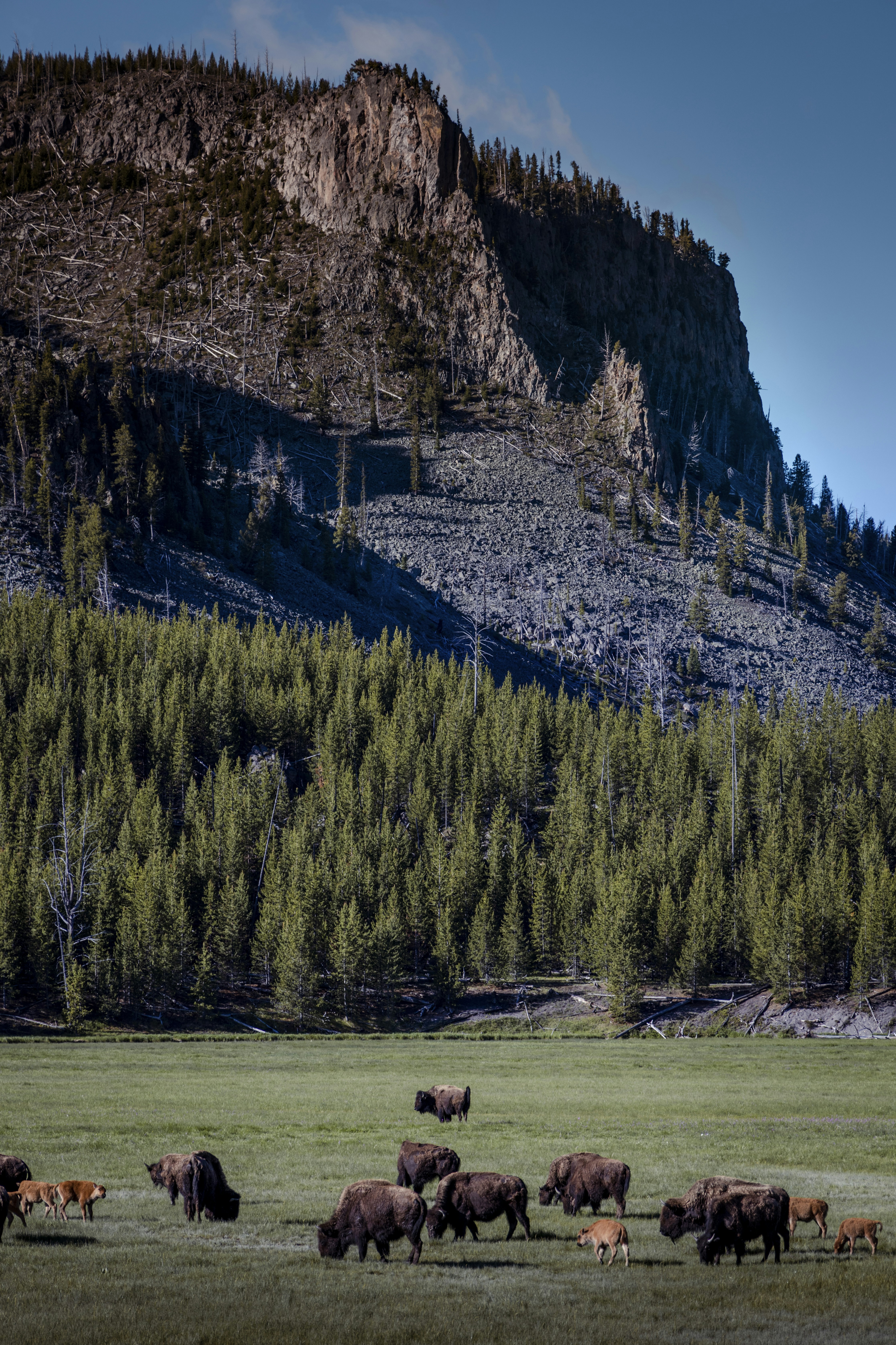 Photo by loganmayerr