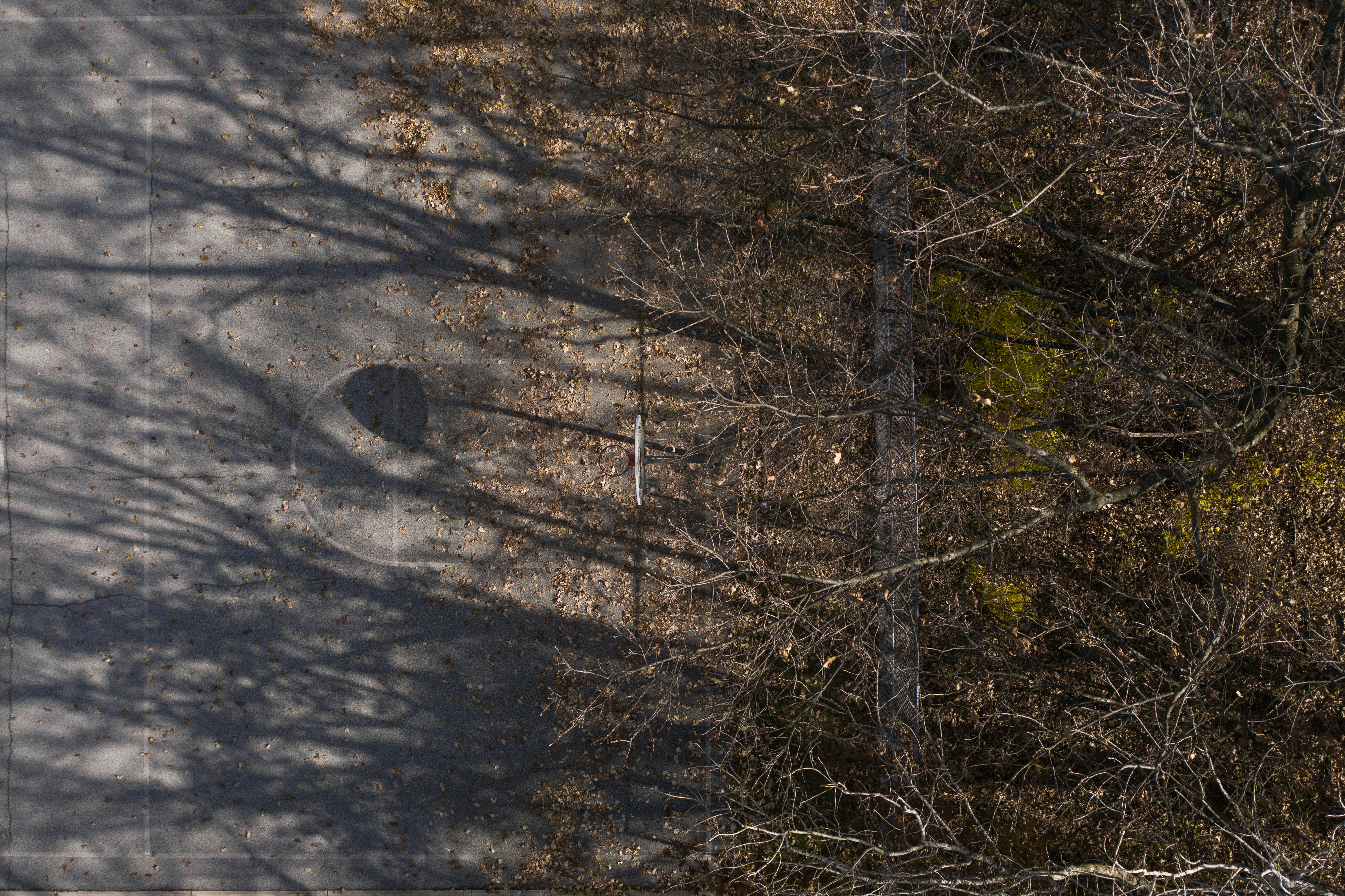 Photo by ________________1a