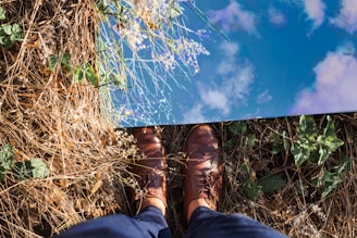 A pair of casual brown leather shoes resting on a wooden bench in a sunlit park.