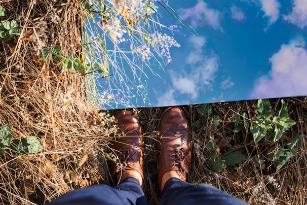 A pair of casual brown leather shoes resting on a wooden bench in a sunlit park.
