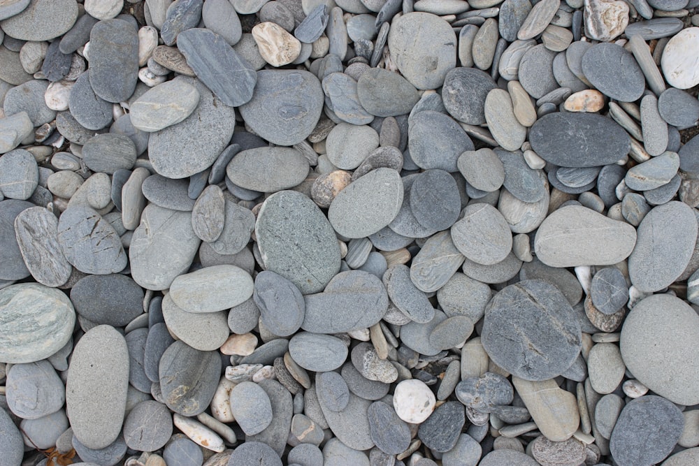 gray and black stones on gray soil