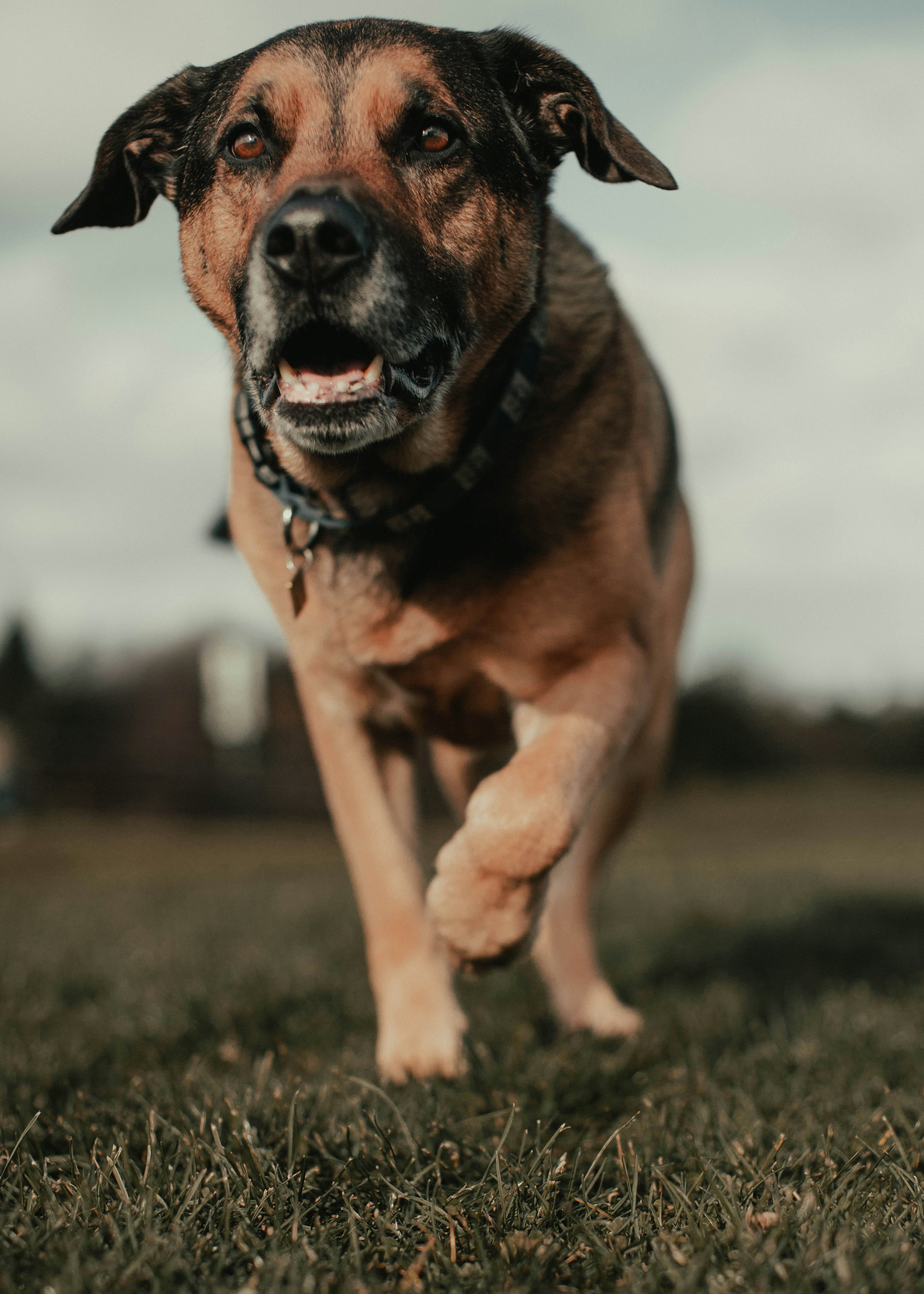 Photo by theshuttervision