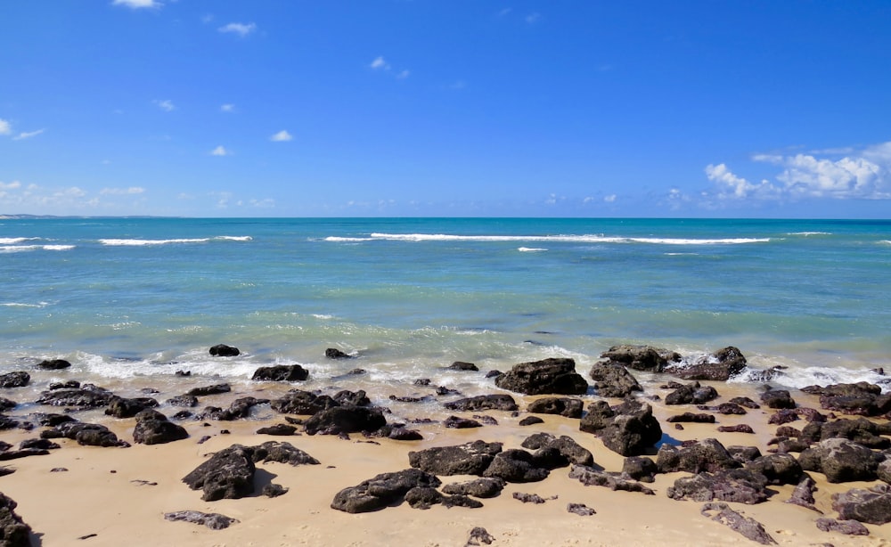 brown rocks on seashore during daytime