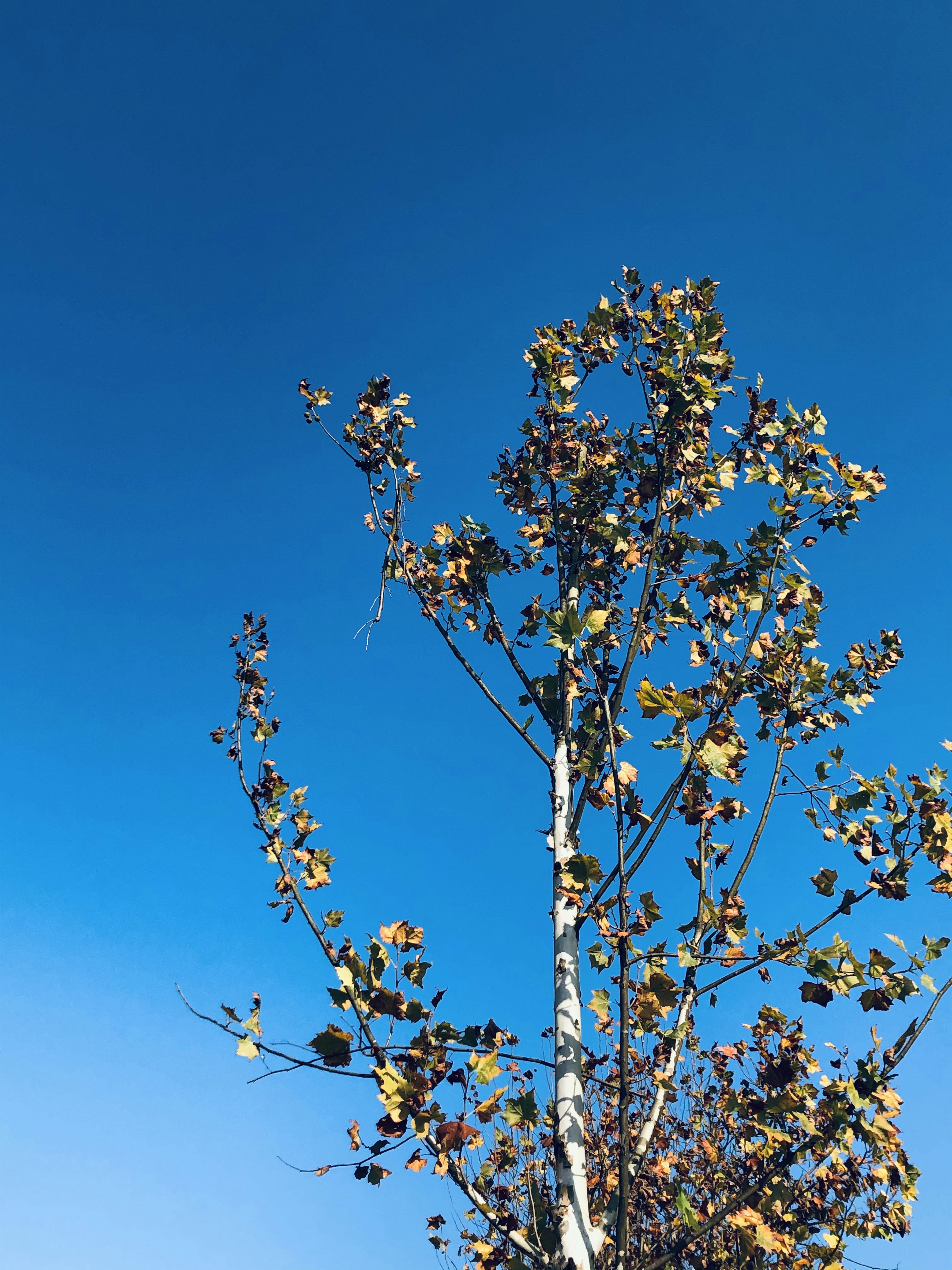 Photo by sunriseking