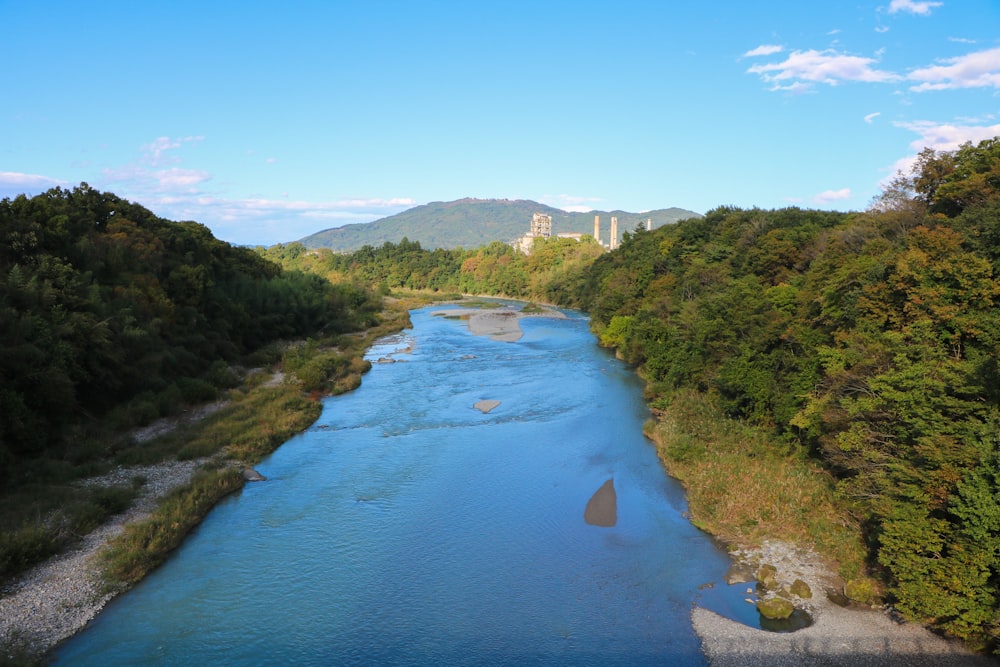 river between green trees under blue sky during daytime