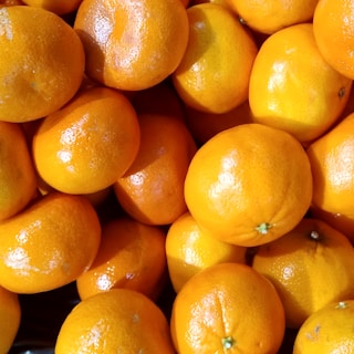 Freshly picked oranges stacked in a pyramid shape with sunlight highlighting their texture.