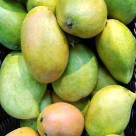 A close-up view of several ripe mangoes piled together, displaying a range of colors from green to yellow and hints of orange. The smooth texture of the mango skins is evident, and some have small darkened areas.
