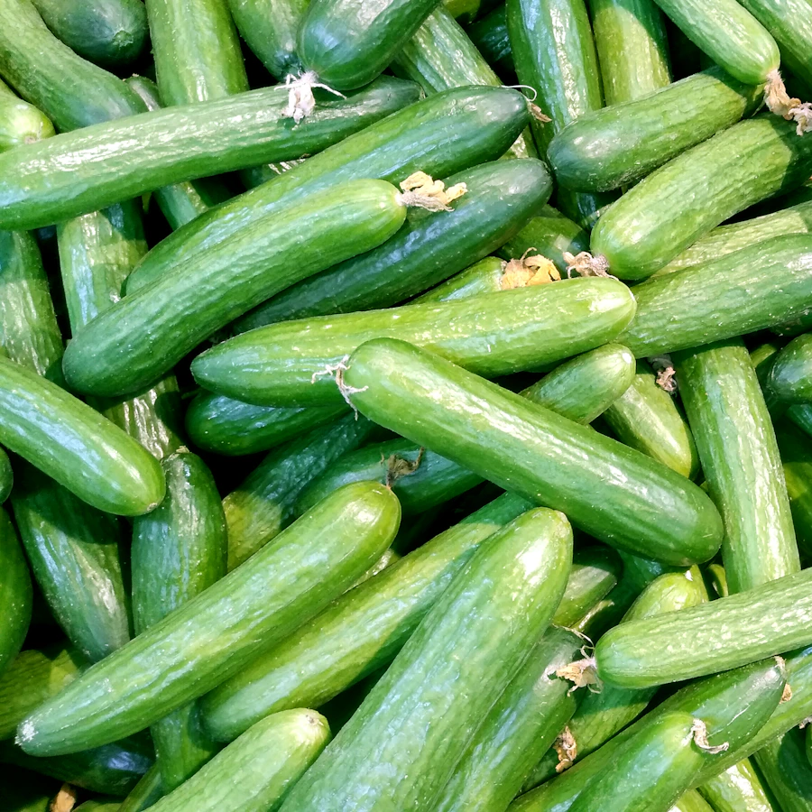 Fresh cucumber skincare
