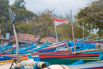 Various colorful fishing boats are lined up on the shore, with a red and white flag prominently displayed on one of the boats. The background features trees and a thatched roof structure, hinting at a rural or coastal village setting.