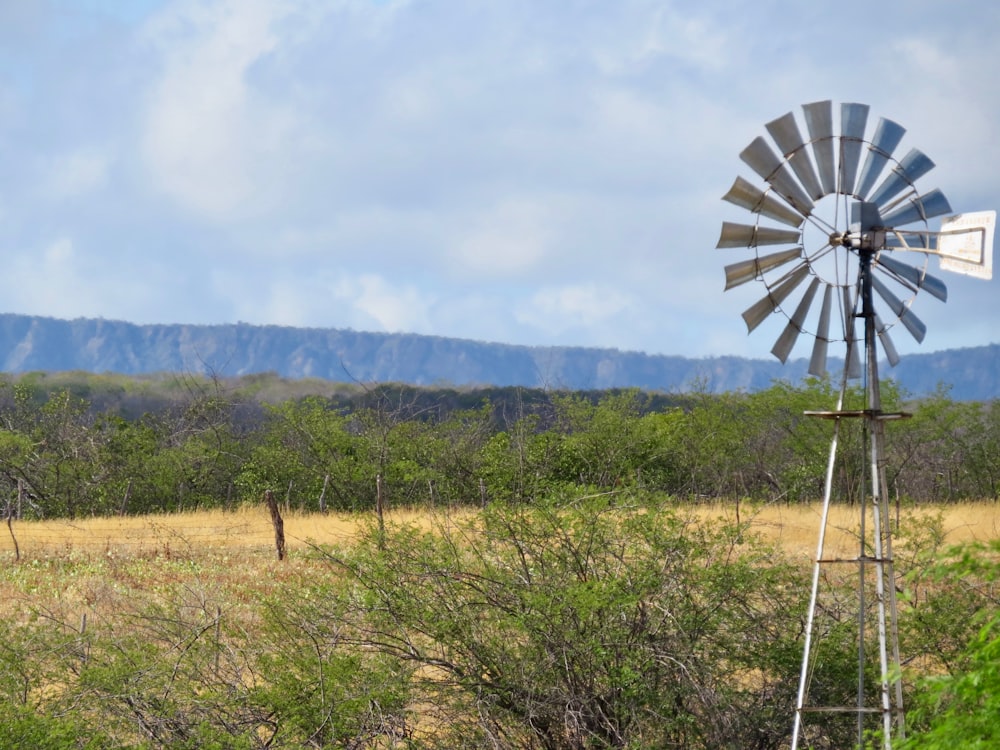 white windmill on green grass field during daytime