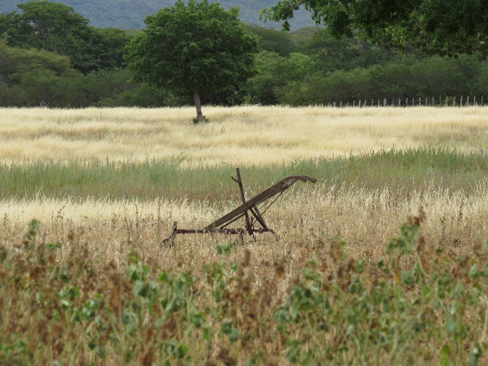brown wooden wheel on green grass field during daytime
