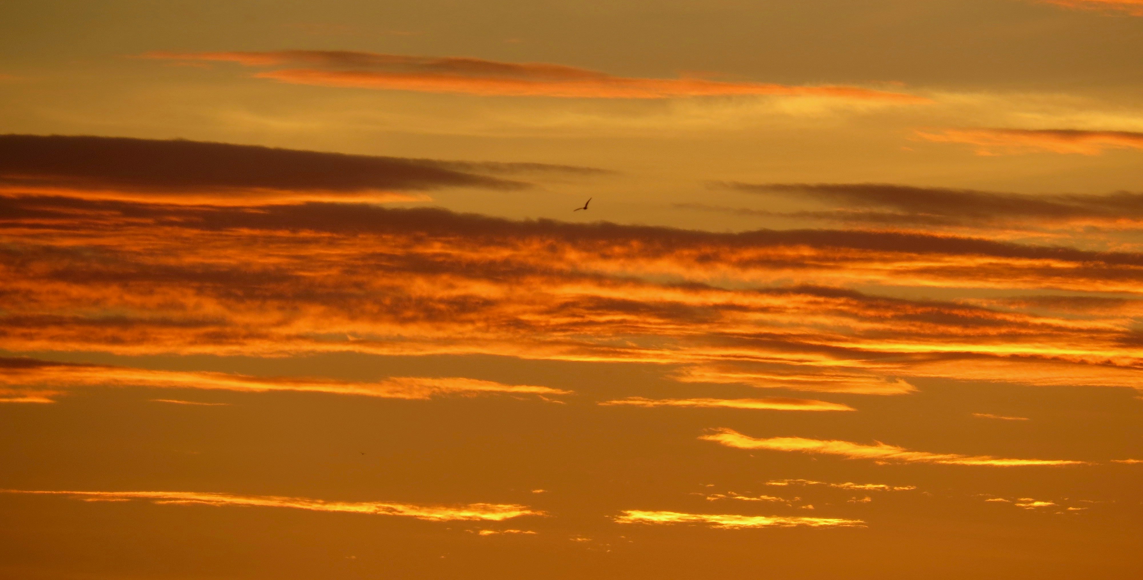 Containers in Savanna, OK