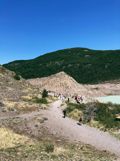 A group hiking along a sunlit trail near Müritz lakes, with vibrant greenery and clear blue skies.