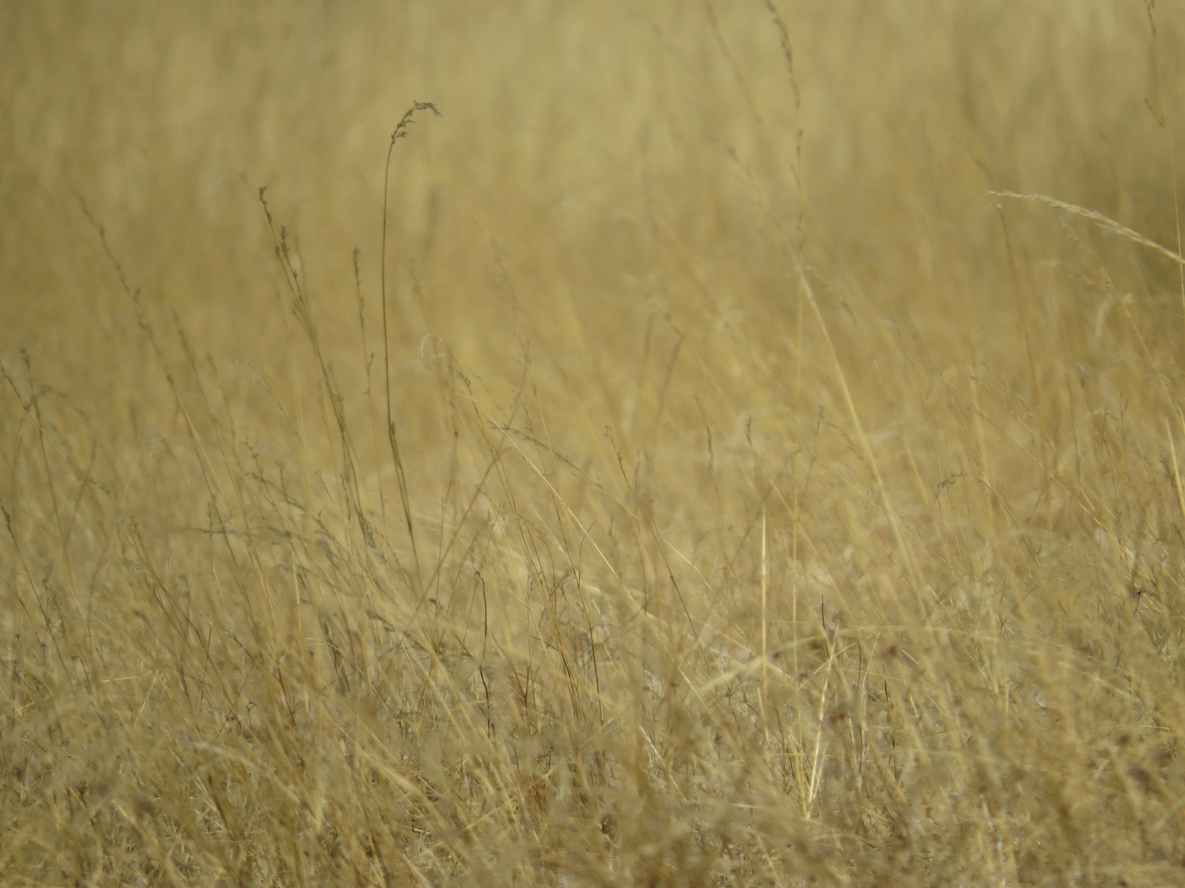 Photo by jaimedantas