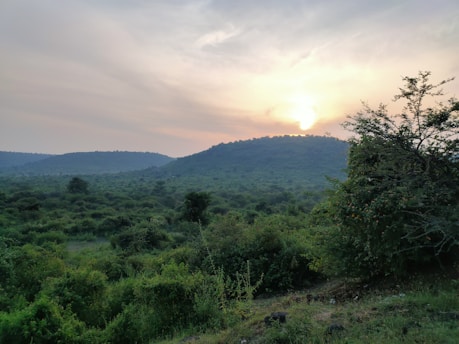 A peaceful nature scene with a sunrise casting soft light over lush green hills.