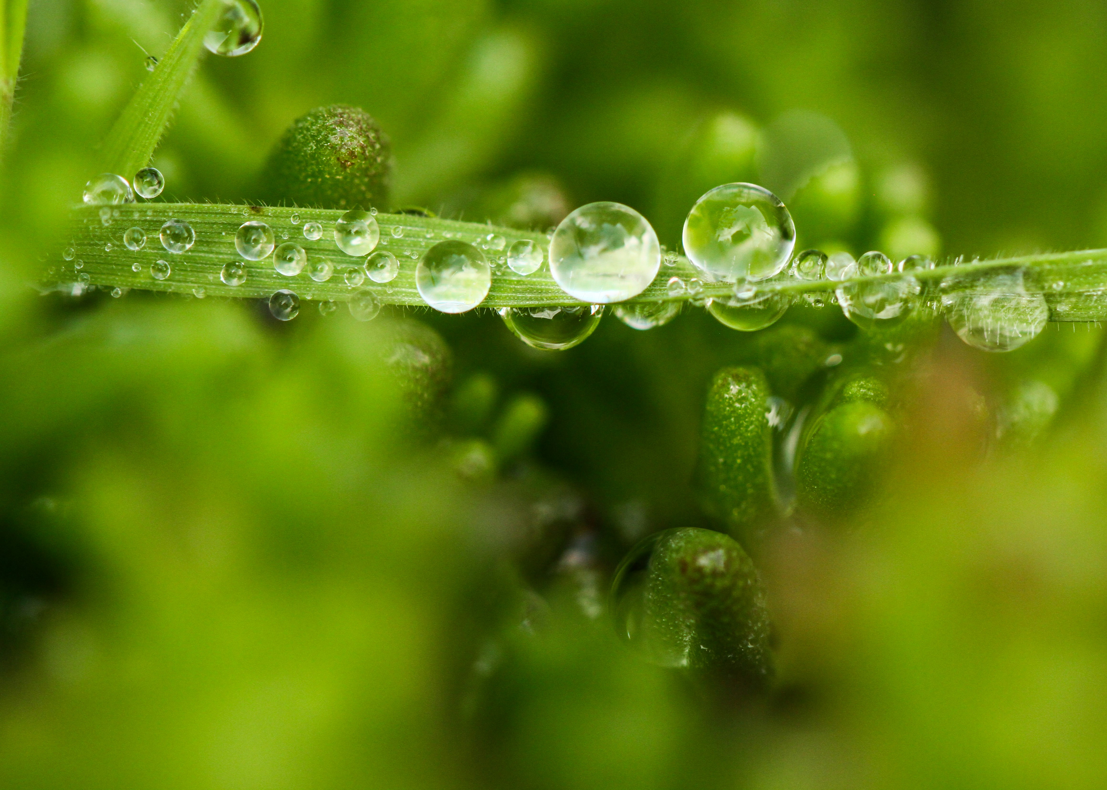 Photo by capturelight