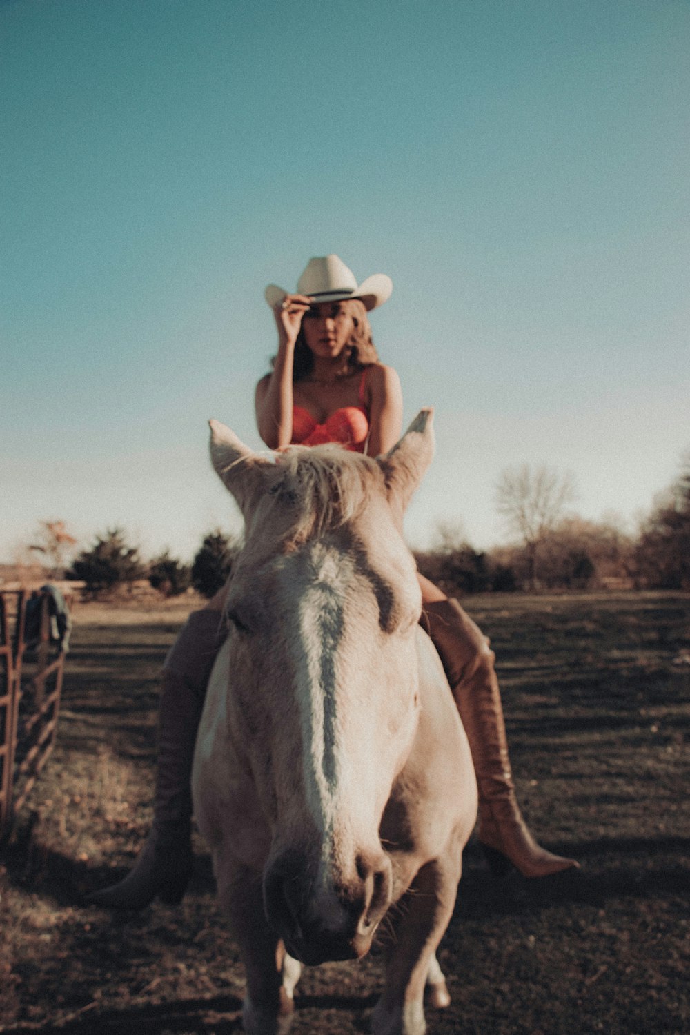 woman in cowboy hat riding white horse during daytime
