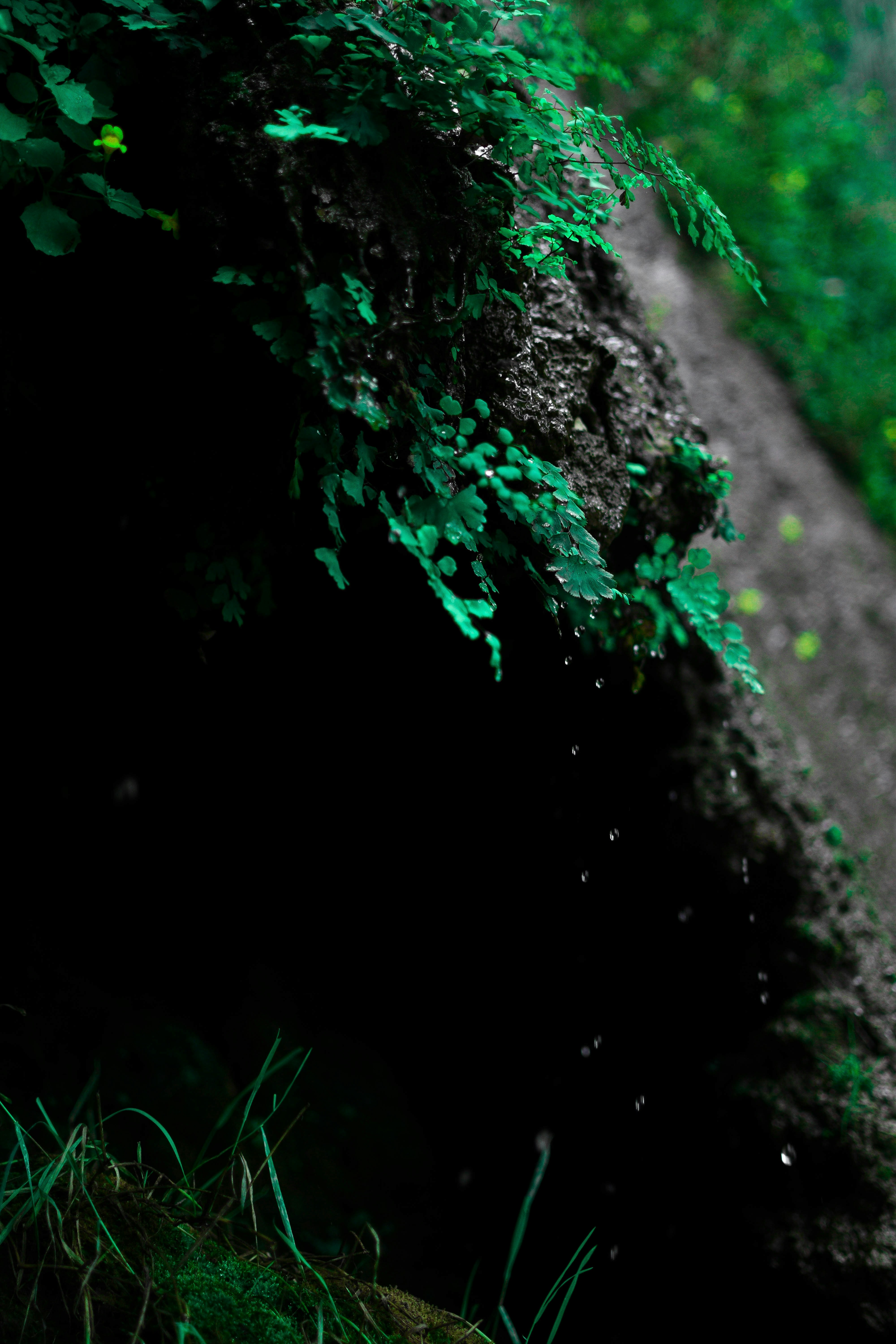 Photo by solus_adrift