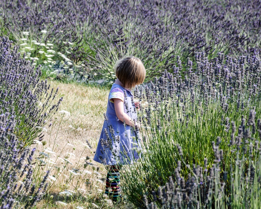 girl in blue dress standing on purple flower field during daytime