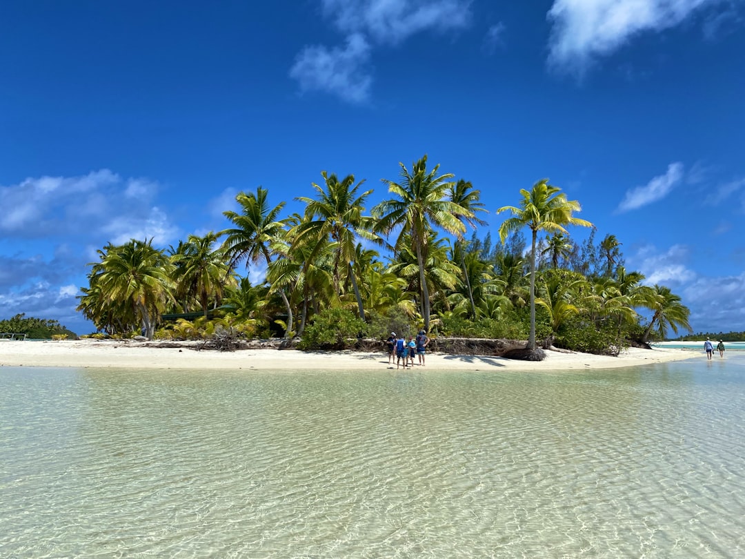 people on beach during daytime