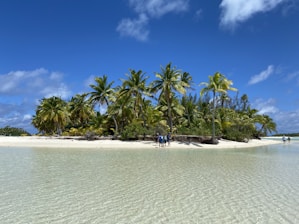 people on beach during daytime